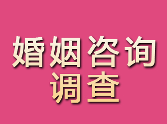 鄂伦春旗婚姻咨询调查